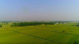 全方位夯實糧食安全根基｜藏糧于地，讓更多農(nóng)田變良田